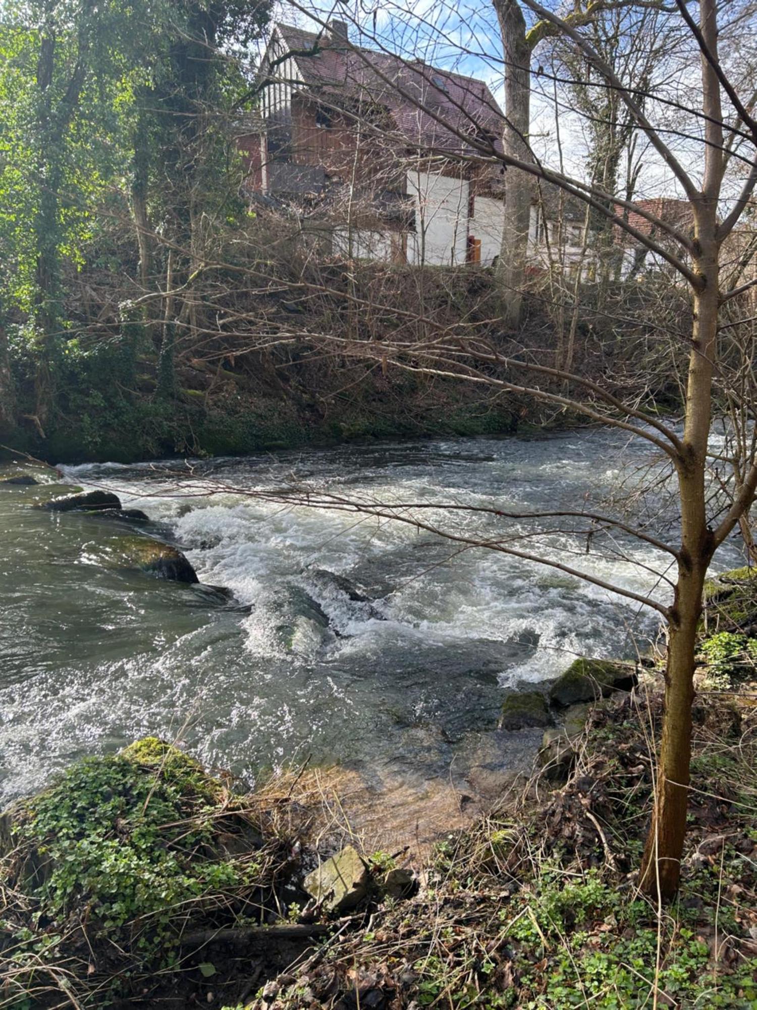 Villa Am Fluss プフォルツハイム エクステリア 写真