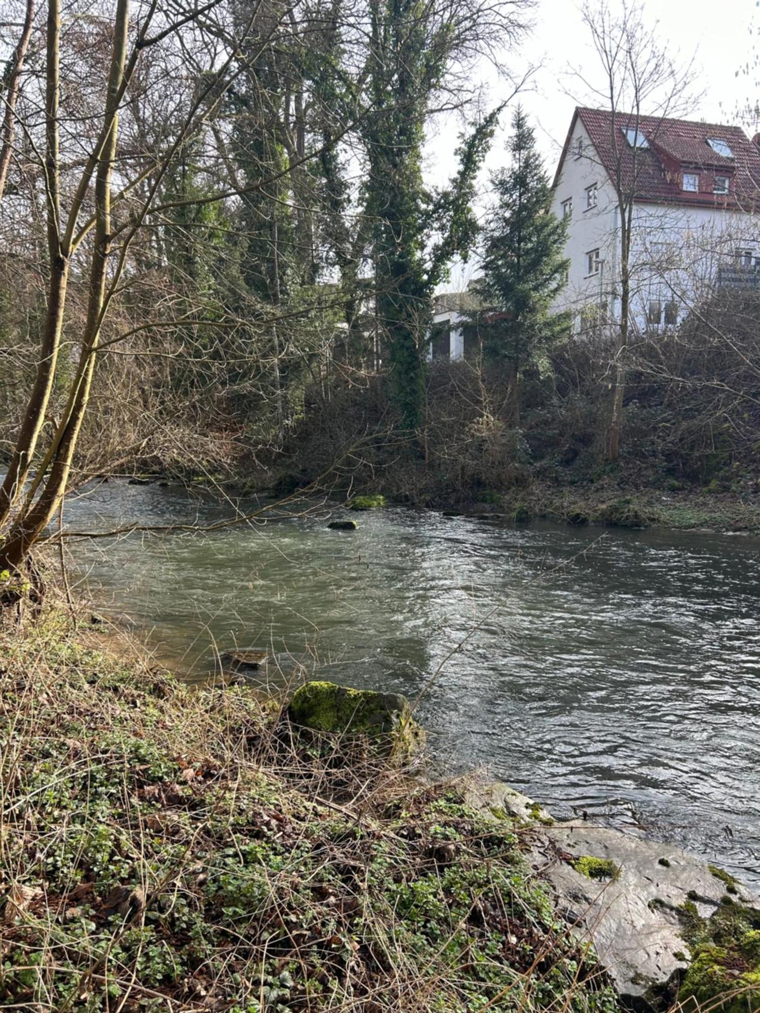 Villa Am Fluss プフォルツハイム エクステリア 写真