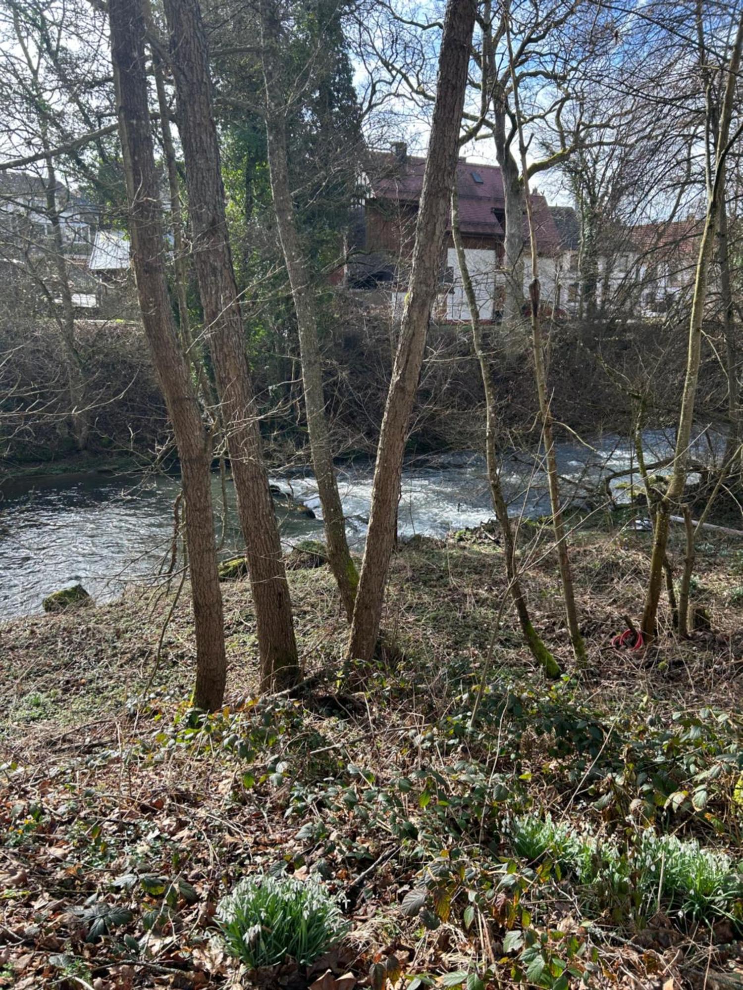 Villa Am Fluss プフォルツハイム エクステリア 写真
