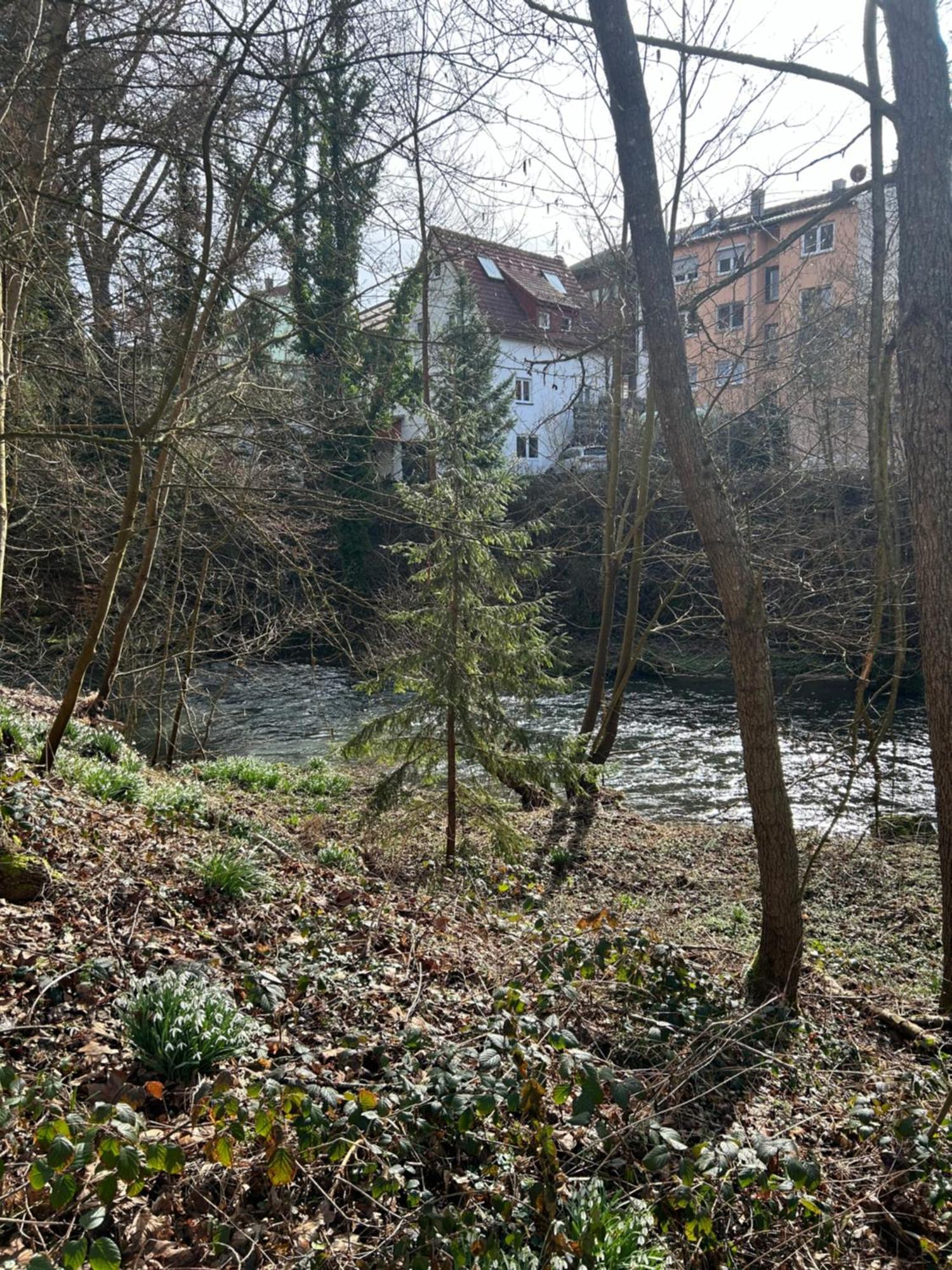Villa Am Fluss プフォルツハイム エクステリア 写真